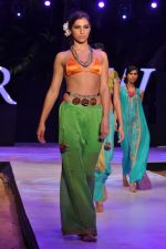 Model walk the ramp for Anupama Dayal Show at IRFW 2012 Day 1 in Goa on 28th Nov 2012 (73).JPG